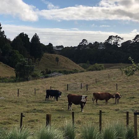 Pukeko Lodge Bnb New Plymouth Bagian luar foto