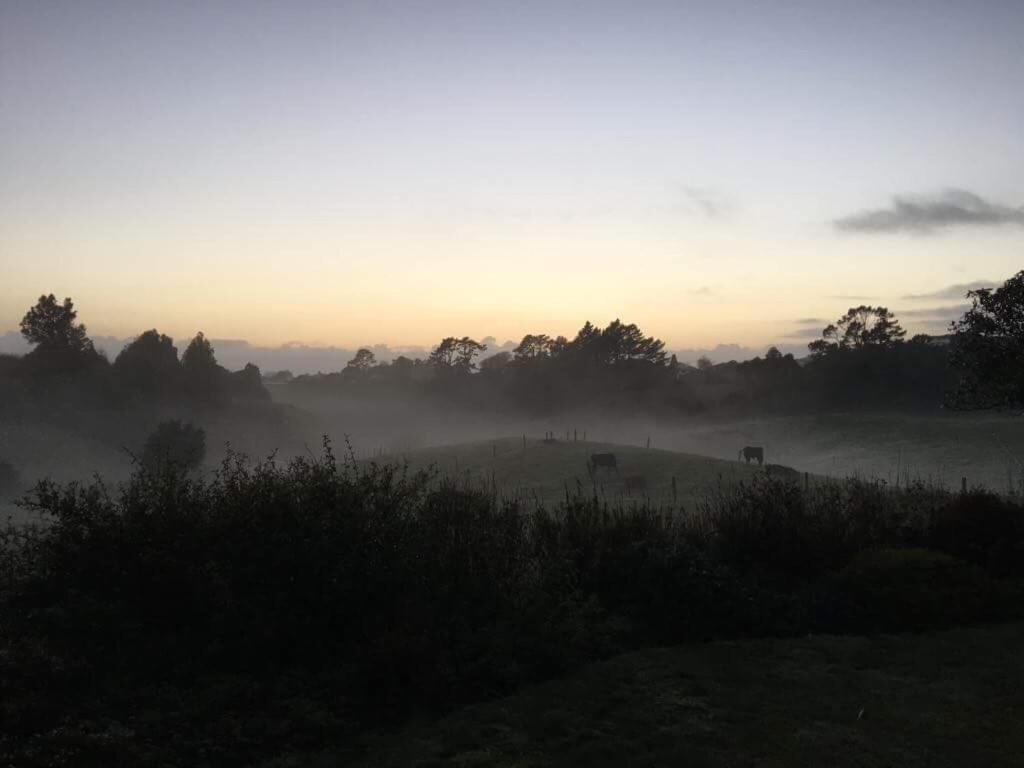 Pukeko Lodge Bnb New Plymouth Bagian luar foto