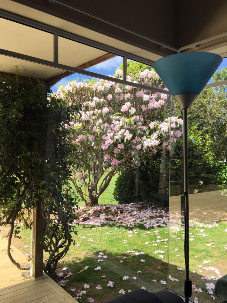 Pukeko Lodge Bnb New Plymouth Bagian luar foto
