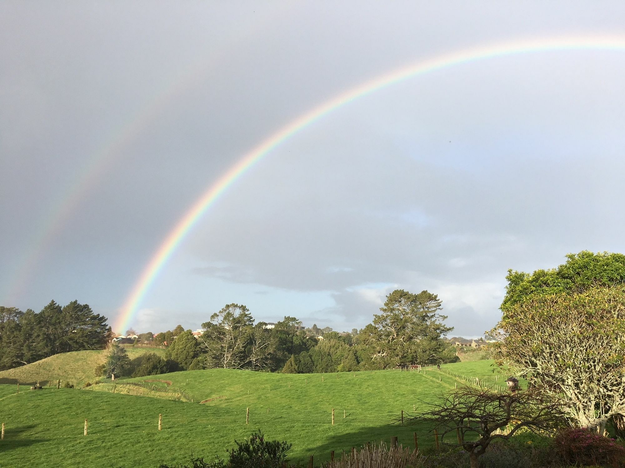 Pukeko Lodge Bnb New Plymouth Bagian luar foto